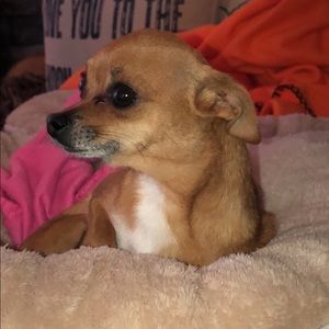 Meet your Posher, Laura